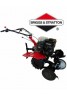 Σκαπτικό INTERPOWER - Vanguard 6,5 Hp Briggs & Stratton
