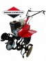 Σκαπτικό INTERPOWER - Vanguard 6,5 Hp Briggs & Stratton